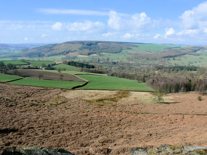 Calton Lees Calton Lees